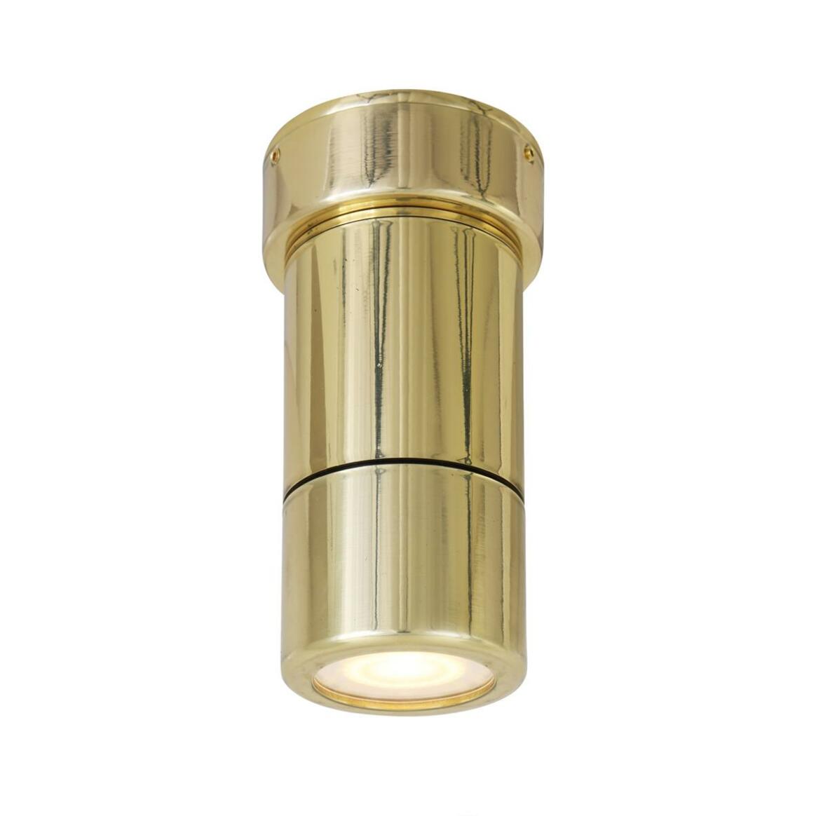 Ennis Brass Spot Ceiling Light IP44 / IP65 main product image